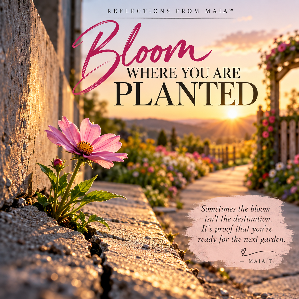 Bloom Where You Are Planted